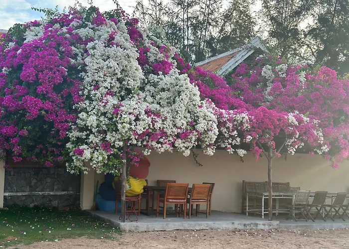 Orchid Boutique Beach Resort Phan Thiết